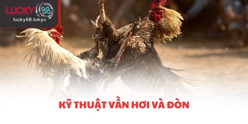 Kỹ thuật vần hơi và đòn